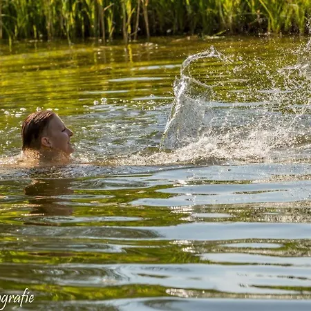 Hotel Ferienhaus Beim Viechdoktor *