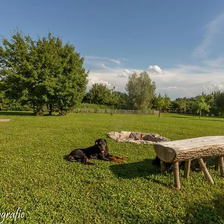 Ferienhaus Beim Viechdoktor *