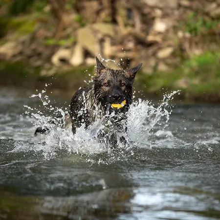 Hotel Ferienhaus Beim Viechdoktor Crailsheim