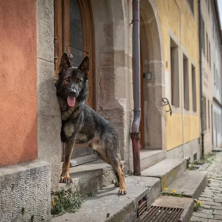 Hotel Ferienhaus Beim Viechdoktor Crailsheim