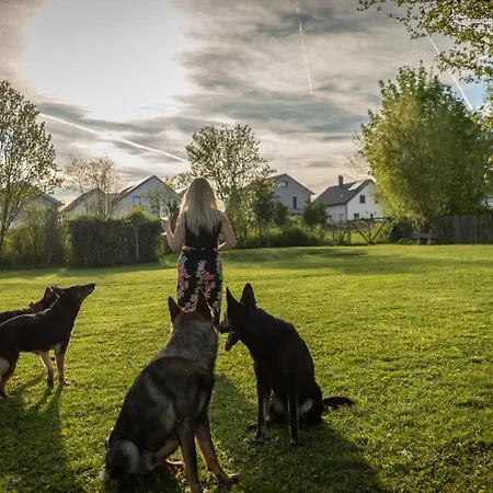 Ferienhaus Beim Viechdoktor Hotel
